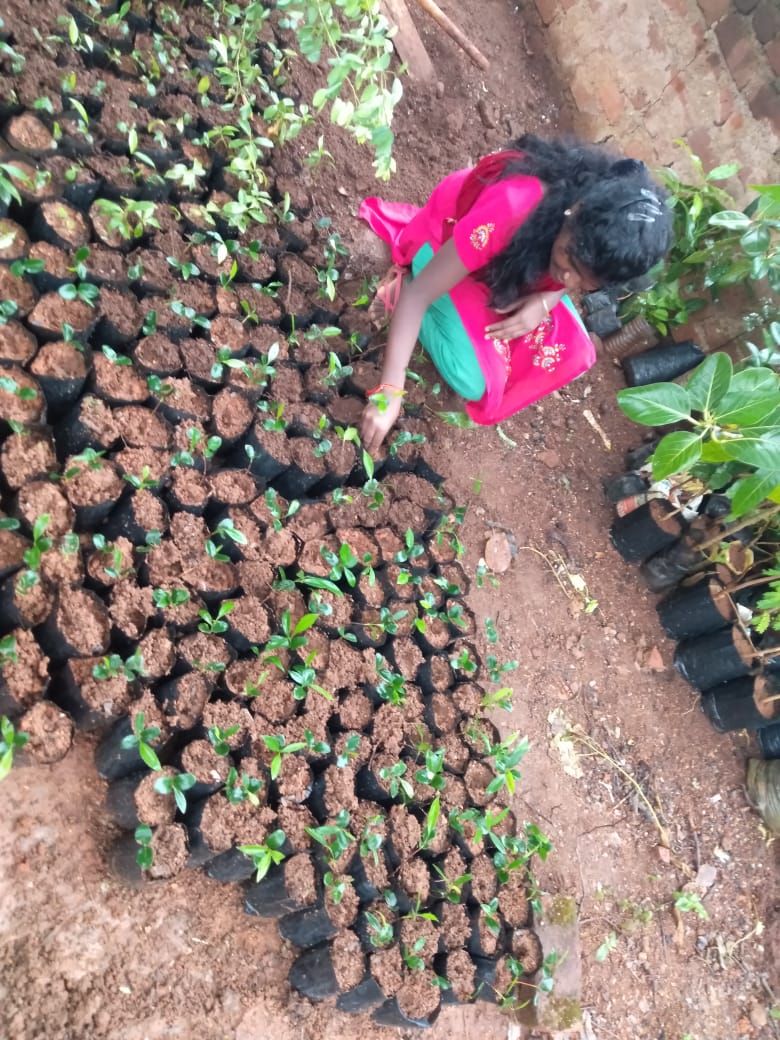 Plant nursery